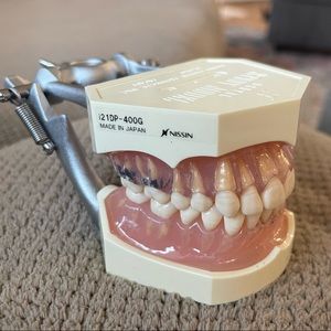 Dental Anatomy Typodont- Nissin Brand